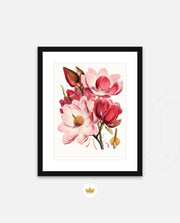 Rose Magnolia