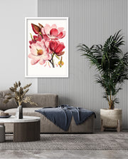 Rose Magnolia
