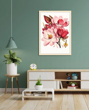 Rose Magnolia