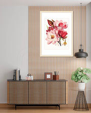 Rose Magnolia