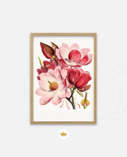 Rose Magnolia