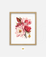 Rose Magnolia