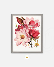 Rose Magnolia