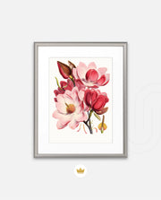Rose Magnolia