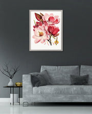 Rose Magnolia