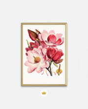 Rose Magnolia