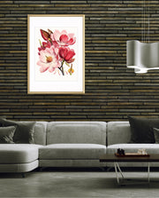 Rose Magnolia