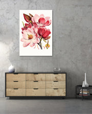 Rose Magnolia