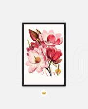 Rose Magnolia