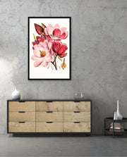 Rose Magnolia