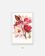 Rose Magnolia