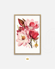 Rose Magnolia