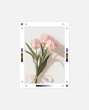 Blush Tulip Bouquet