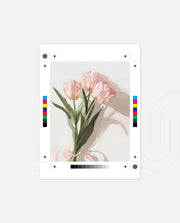 Blush Tulip Bouquet