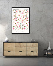Pink Peonies Pattern