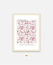 Cherry Blossom Pattern