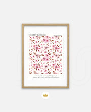 Cherry Blossom Pattern