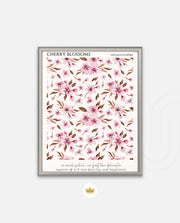 Cherry Blossom Pattern
