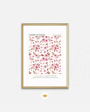 Cherry Blossom Pattern