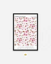 Cherry Blossom Pattern