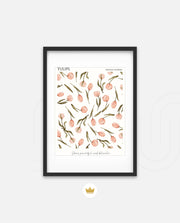 Tulip Pattern