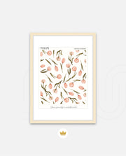 Tulip Pattern