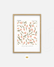 Tulip Pattern