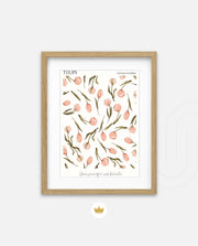 Tulip Pattern
