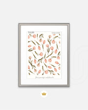 Tulip Pattern