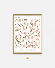 Tulip Pattern