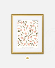 Tulip Pattern