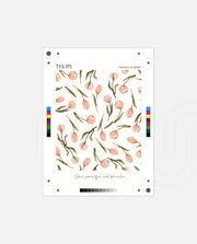 Tulip Pattern