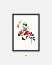 Botanical Butterflies