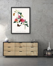 Botanical Butterflies