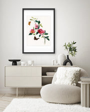 Botanical Butterflies