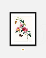 Botanical Butterflies