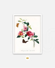 Botanical Butterflies