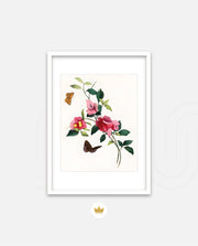 Botanical Butterflies