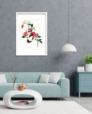 Botanical Butterflies