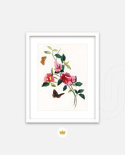 Botanical Butterflies