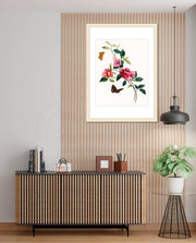 Botanical Butterflies