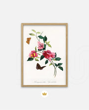 Botanical Butterflies