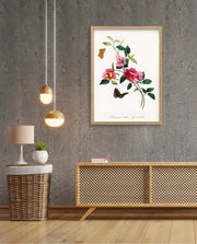 Botanical Butterflies