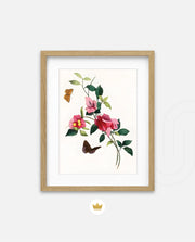 Botanical Butterflies