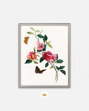 Botanical Butterflies