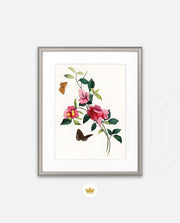 Botanical Butterflies