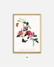 Botanical Butterflies
