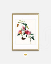 Botanical Butterflies