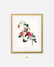 Botanical Butterflies