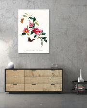 Botanical Butterflies